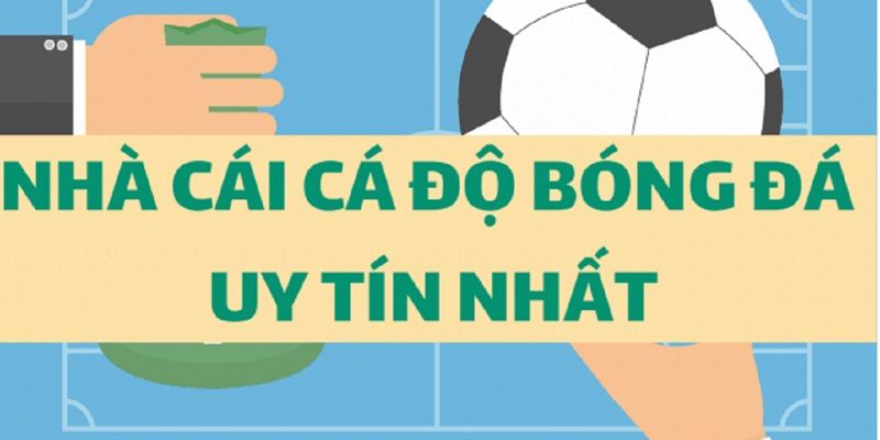 Có rất nhiều trang cá độ bóng đá hiện nay